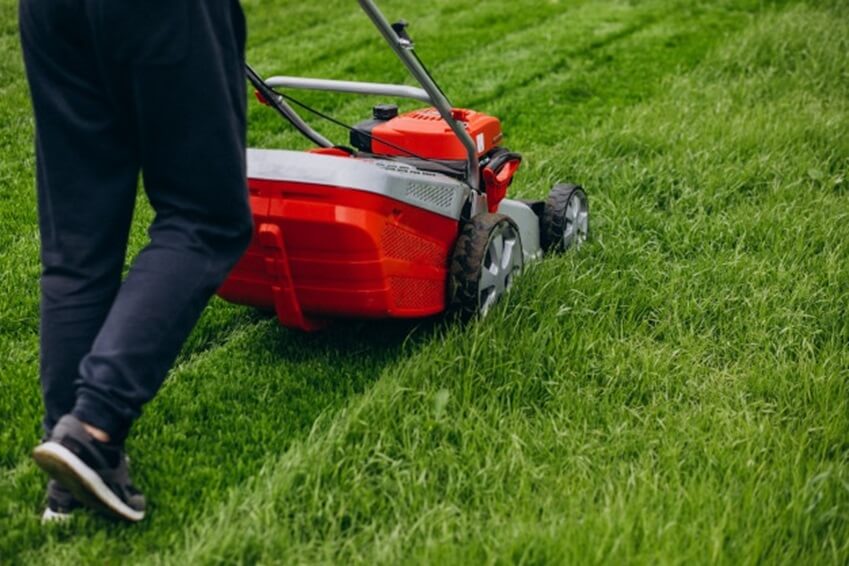 Electric Vs. Gas Lawn Mower