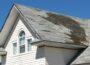 Roof Repairs