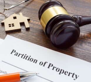 Partition Action in Florida